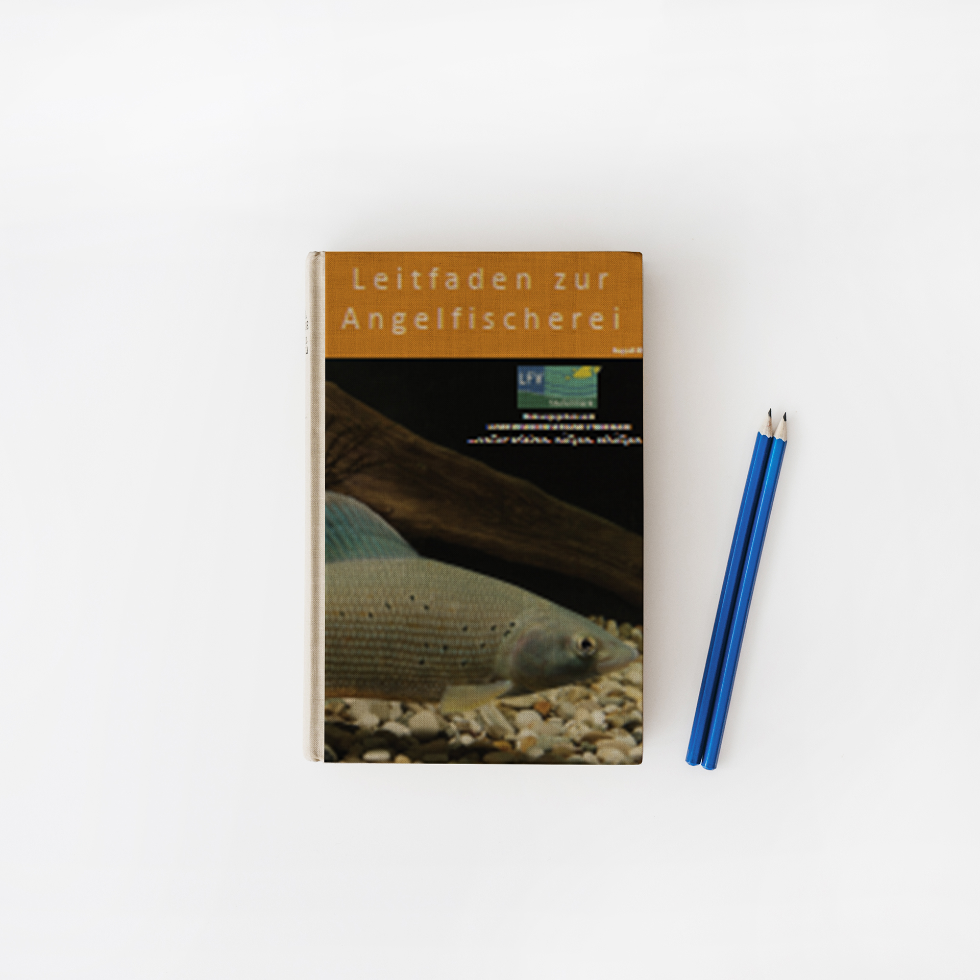 Buch